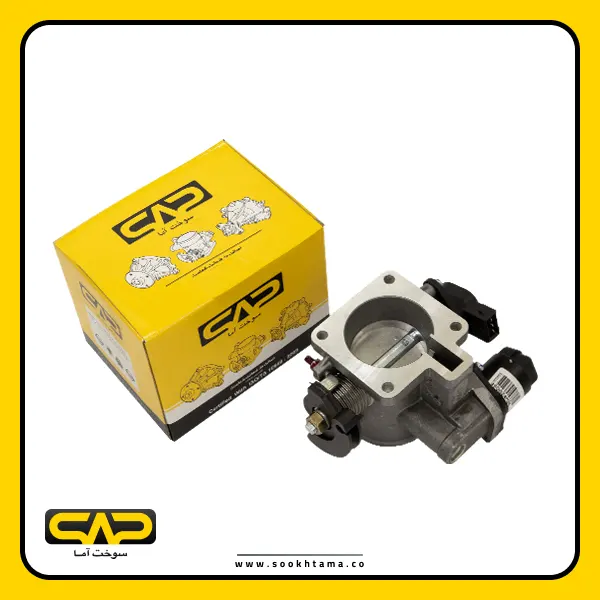 Tiba Throttle Body
