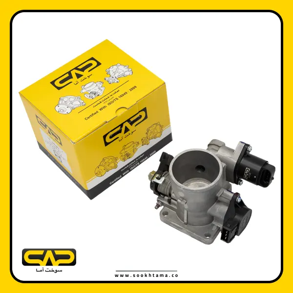 Pride (Siemens) Euro 2 Throttle Body