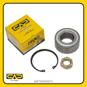 Peugeot 405 Front Wheel Bearing